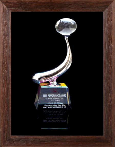 Best Performance Award Dorsa Nava Co