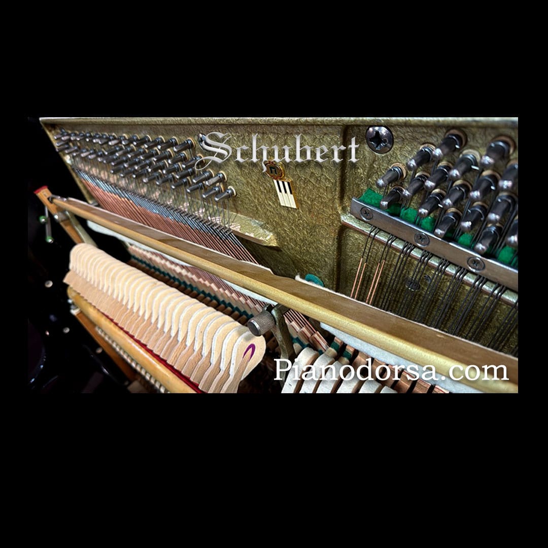 پیانو شوبرت 120