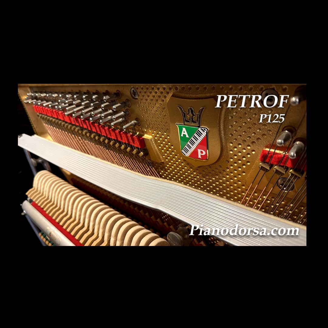 PETROF P125