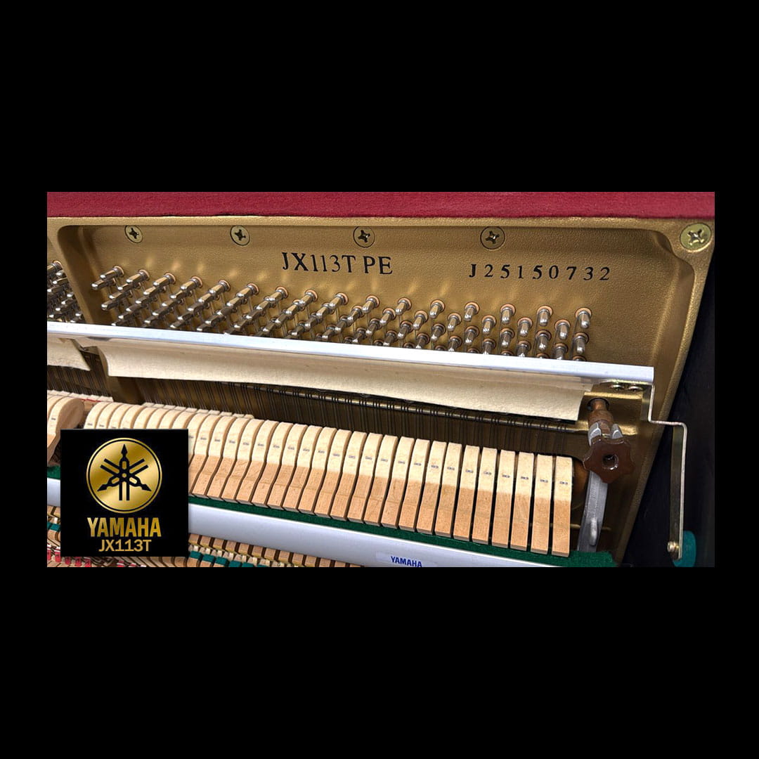 Yamaha JX113T PE