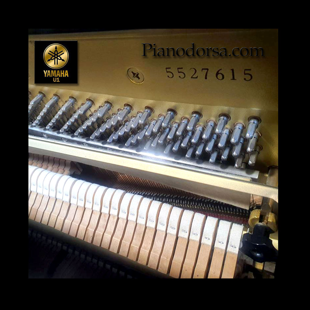 yamaha u1