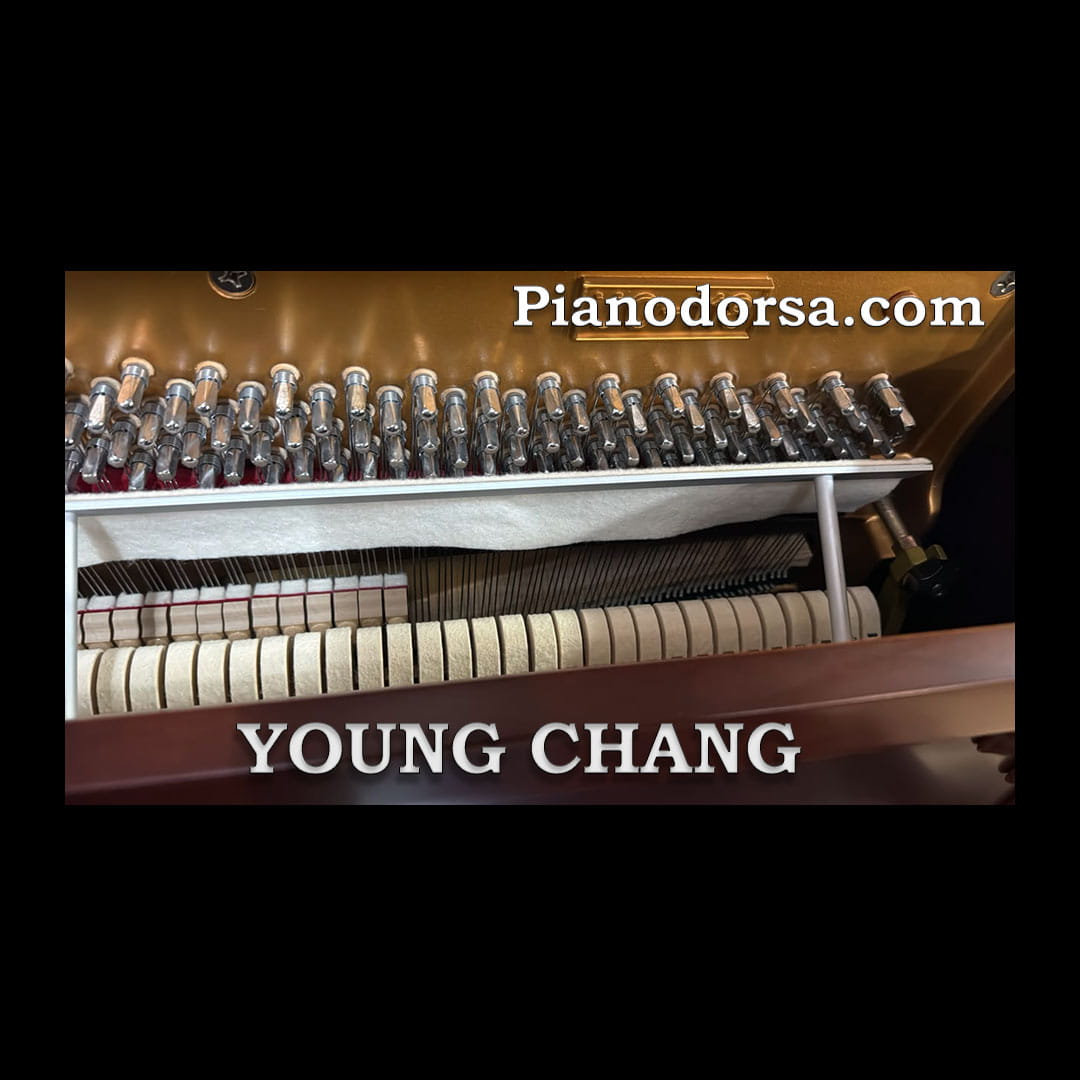 پیانو یانگ چانگ YOUNG CHANG UC-118 Upright Piano