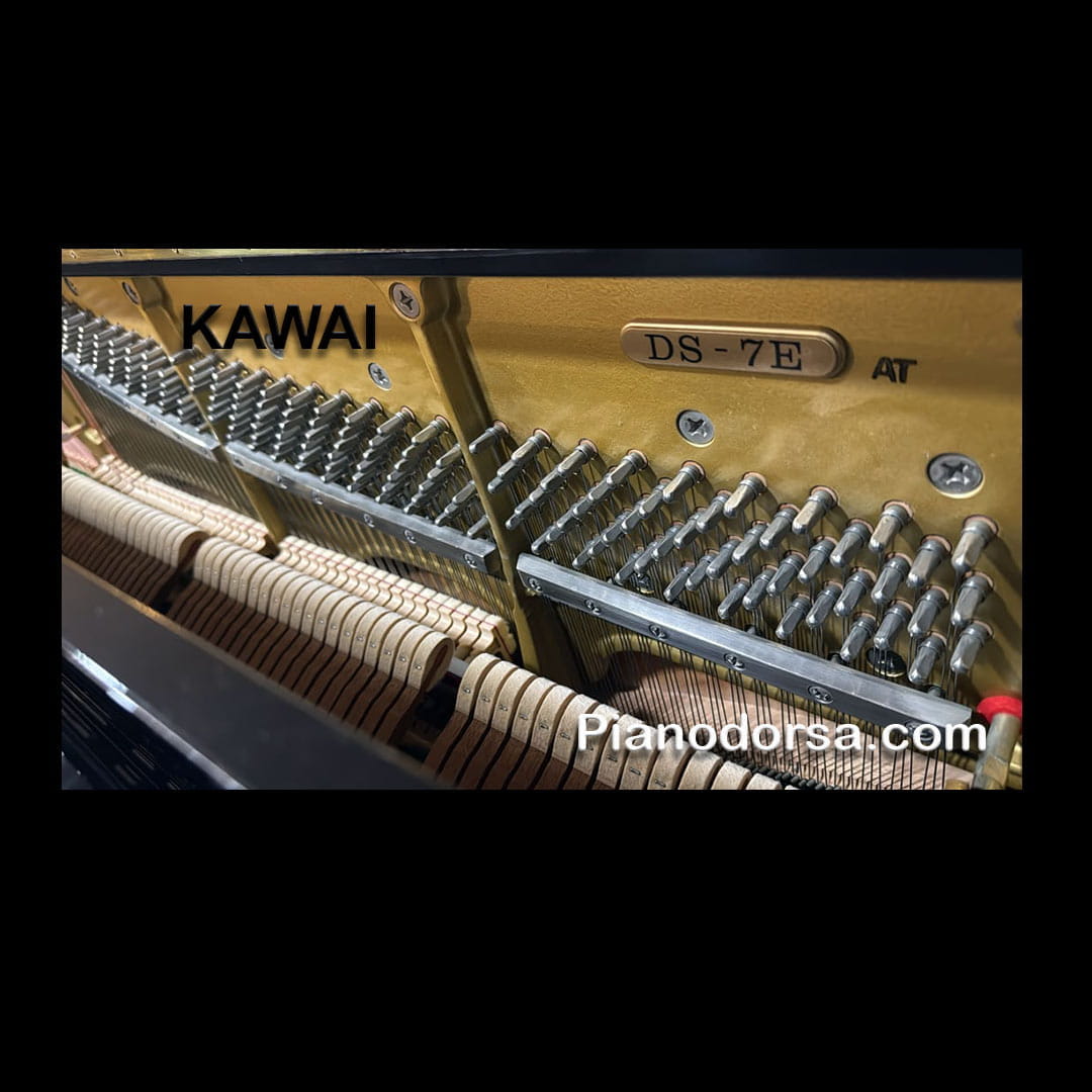 بله. درباره **Kawai DS-7E** اطلاعات قابل اتکایی پیدا می&zwnj;شود. نکته مهم این است که **DS-7E یک پیانوی آکوستیک Upright قدیمی و از مدل&zwnj;های رده&zwnj;بالای Kawai است، نه پیانوی دیجیتال**. نمونه&zwnj;های موجود نشان می&zwnj;دهند که این مدل عمدتاً در دهه ۱۹۹۰ دیده می&zwnj;شود؛ برای مثال یک نمونه با شماره سریال 223xxxx در سال 1995 ساخته شده است. ([s-kodama.co.jp][1])  ## KAWAI DS-7E  DS-7E یک **آپ&zwnj;رایت بزرگ 132 سانتی&zwnj;متری** است که Kawai آن را به&zwnj;عنوان یک مدل بالارده/ویژه عرضه کرده است. در منابع فروش تخصصی ژاپن، ویژگی&zwnj;هایی مانند **صفحه نت بزرگ به سبک گرند، Tone Spreader، شش ستون پشتی، کلیدهای مصنوعی عاج و پایه&zwnj;های Chippendale/Cabriole** برای آن ذکر شده است. ([s-kodama.co.jp][1])  ### مشخصات فنی  | مشخصه               | Kawai DS-7E                               | | ------------------- | ----------------------------------------- | | سازنده              | KAWAI &ndash; ژاپن                              | | نوع                 | Acoustic Upright Piano                    | | مدل                 | DS-7E                                     | | ارتفاع              | **132 cm**                                | | عرض                 | حدود **153&ndash;154 cm**                       | | عمق                 | **65 cm**                                 | | وزن                 | حدود **225 kg**                           | | تعداد پدال          | **3 پدال**                                | | رنگ                 | مشکی براق                                 | | ساختار              | Upright بزرگ و سنگین                      | | جای نت              | Large Grand-style Music Desk              | | سیستم Tone Spreader | دارد                                      | | پشت ساز             | 6 ستون پشتی                               | | کلیدها              | Artificial Ivory                          | | پایه                | سبک Chippendale / چهارطرفه با فرم گربه&zwnj;ای | | رده                 | مدل بالارده / ویژه                        |  ابعاد 132&times;154&times;65 سانتی&zwnj;متر و وزن 225 کیلوگرم در چند منبع فروش تخصصی برای DS-7E ذکر شده است. ([hayashigakki.jp][2])  ### Tone Spreader چیست؟  یکی از ویژگی&zwnj;های جالب DS-7E، **Tone Spreader** است.  در این طراحی، صفحه نت بزرگ شبیه پیانو گرند طراحی شده و با قرار دادن آن در وضعیت مناسب، فضایی برای عبور و پخش مستقیم&zwnj;تر صدا به سمت نوازنده ایجاد می&zwnj;شود. این ویژگی در معرفی فروشنده ژاپنی DS-7E صراحتاً ذکر شده است. ([s-kodama.co.jp][1])  ### چرا DS-7E را مدل بالارده می&zwnj;دانند؟  چند ویژگی در این مدل نشان می&zwnj;دهد که صرفاً یک Upright معمولی نیست:  * ارتفاع **132 سانتی&zwnj;متر** * بدنه بسیار عمیق و سنگین * وزن حدود **225 کیلوگرم** * شش ستون در قسمت پشت * صفحه نت بزرگ به سبک گرند * Tone Spreader * کلیدهای Artificial Ivory * طراحی پایه&zwnj;های Chippendale * سه پدال  فروشندگان ژاپنی DS-7E را صراحتاً **上位機種** یعنی &laquo;مدل رده&zwnj;بالا&raquo; معرفی کرده&zwnj;اند. ([s-kodama.co.jp][1])  ### از نظر صدا  برای یک DS-7E سالم و به&zwnj;خوبی تنظیم&zwnj;شده، انتظار می&zwnj;رود به دلیل ابعاد بزرگ ساز، صدای **پرتر، عمیق&zwnj;تر و دارای Bass قوی&zwnj;تر** نسبت به Uprightهای کوتاه&zwnj;تر داشته باشد.  البته در مورد یک پیانوی حدوداً ۳۰ ساله، **سال ساخت به&zwnj;تنهایی تعیین&zwnj;کننده کیفیت فعلی ساز نیست**. وضعیت Soundboard، Pinblock، سیم&zwnj;ها، چکش&zwnj;ها، Action، Hammer، میزان خوردگی و مهم&zwnj;تر از همه سابقه نگهداری و کوک اهمیت بسیار بیشتری دارد.  یک نمونه DS-7E بازسازی&zwnj;شده که بررسی کردم، پس از تنظیم Action و Hammer و سرویس بخش&zwnj;های داخلی، توسط فروشنده دارای صدایی &laquo;نرم اما با هسته و قدرت&raquo; توصیف شده است؛ البته این توصیف مربوط به همان نمونه خاص است و نباید به همه DS-7Eها تعمیم داده شود. ([s-kodama.co.jp][1])  ---  ### یک نکته مهم درباره مشخصات DS-7E  برای این مدل، **اطلاعات رسمی کامل کارخانه&zwnj;ای مانند طول سیم&zwnj;ها، ابعاد Soundboard، نوع دقیق Action، مشخصات Hammer و سال&zwnj;های دقیق تولید** را در سایت فعلی Kawai پیدا نکردم. بنابراین برخلاف برخی مدل&zwnj;های جدید، نمی&zwnj;خواهم این مشخصات را حدس بزنم.  اگر هدف شما **معرفی این مدل برای فروش در سایت فروش پیانو** است، می&zwnj;توانم در مرحله بعد یک متن کامل و حرفه&zwnj;ای شامل:  **معرفی محصول + تاریخچه مدل + مشخصات فنی + ویژگی&zwnj;های متمایز + مناسب چه نوازندگانی است + نقاط قوت و ضعف + مقایسه با Yamaha U3/U1 و Kawai مدل&zwnj;های هم&zwnj;رده**  برای **Kawai DS-7E** آماده کنم.  [1]: https://www.s-kodama.co.jp/smart/old_piano/entry/ds7e/?utm_source=chatgpt.com 