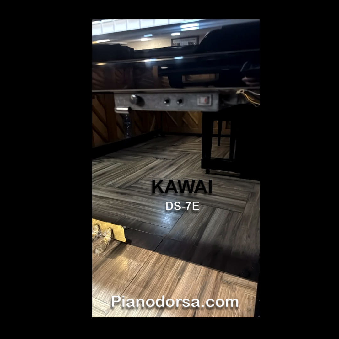 KAWAI DS-7E